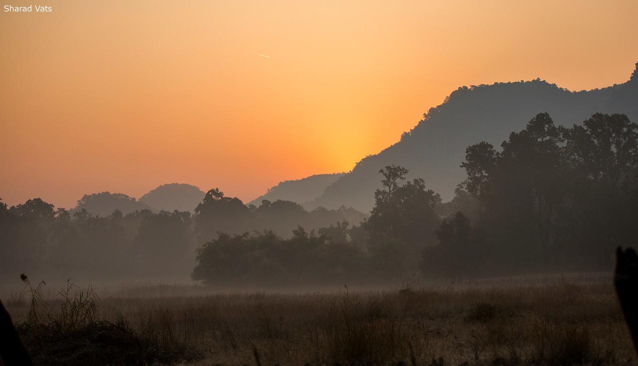 Tiger'S Den Resort Bandhavgarh National Park 外观 照片
